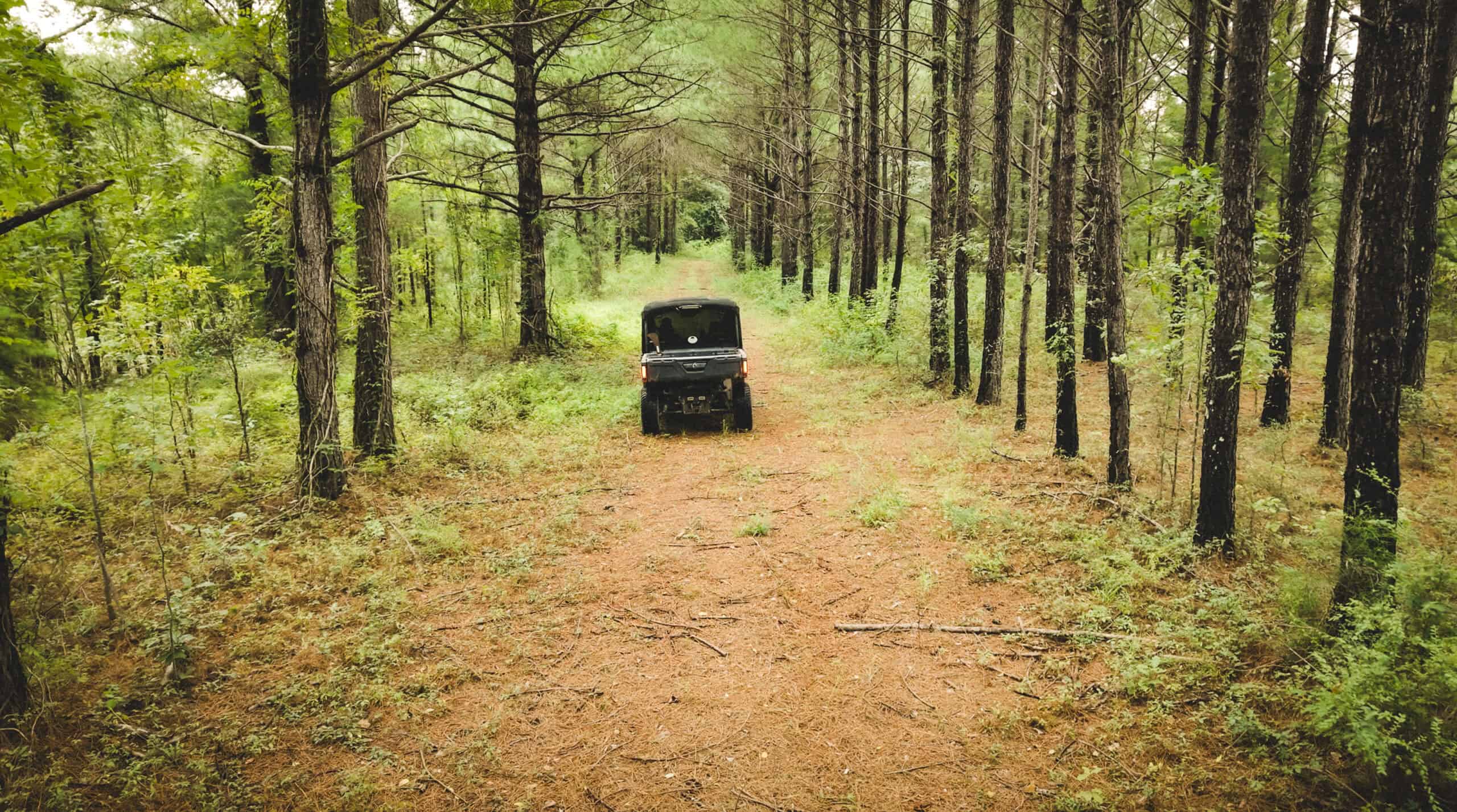 River Trails 127 | 127 Acres | Montezuma, GA